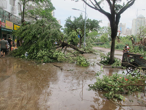 臺風(fēng)過境之后