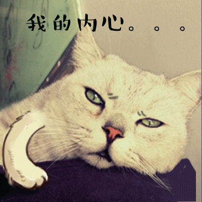 面對“泰利”無所畏懼的廣東人民